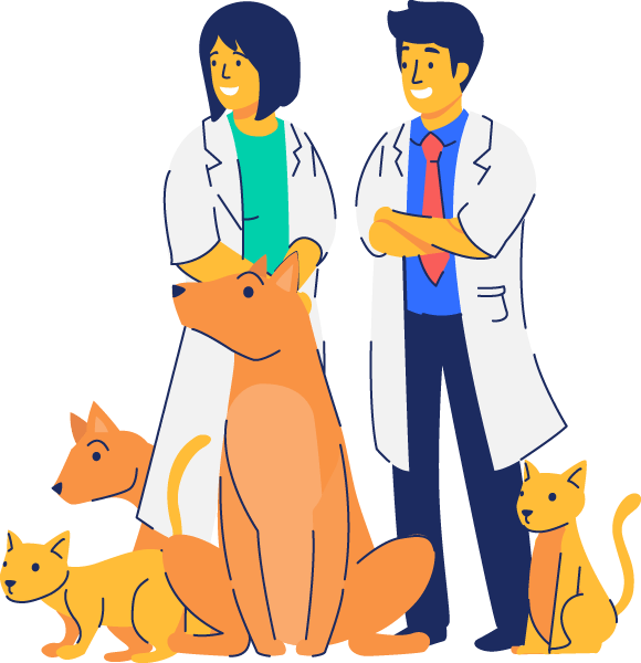 Waterkloof Ridge Vet Clinic Quality Vet Care for all pets