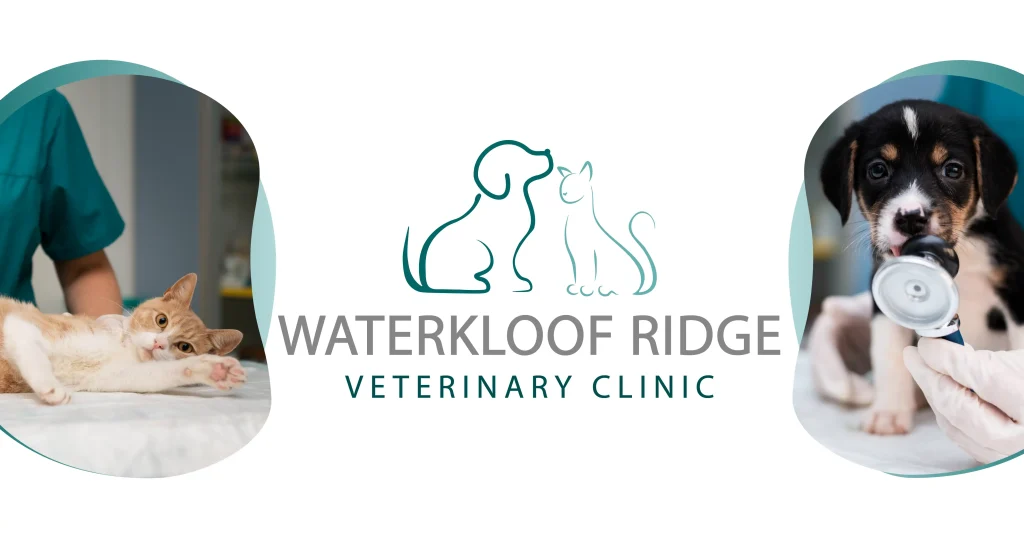 Waterkloof Ridge Vet Clinic Quality Vet Care for all pets